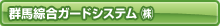 �Q�n�����K�[�h�V�X�e��