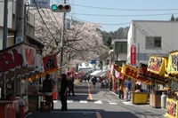 安市