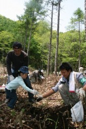 丁寧にブナなどの苗木を植える参加者たち