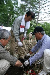 ブナの苗木を丁寧に植える参加者