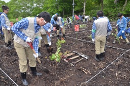 植樹をする参加者