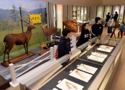 尾瀬の魅力課題に迫る 富岡で企画展