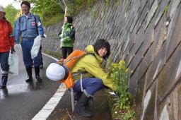 尾瀬保全へ 外来種駆除 片品