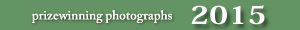 2015�N