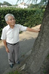 「共同飼育所」の跡地前のヒマラヤスギを眺める高瀬さん