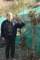 「朝4時に起きて急斜面で切ってきた桑をくれた」と話す市川さん