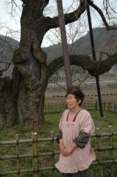 大クワを前に「私が生きているうちは、草刈りは続けたい」と語る石井さん