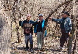 伸び放題の桑畑を整備し、20年ぶりの養蚕復活に乗り出す六合・赤岩の住民