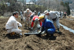 養蚕の復活に向け、新しい桑畑の整備をする赤岩地区住民ら