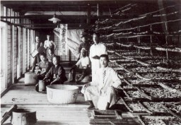 大正時代の養蚕風景をとらえた写真
