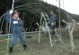 天蚕飼育用のハウス作りをする松井さん(左)と登坂さん
