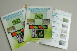 「GM蚕」に理解を 県が小冊子作製
