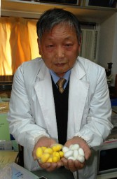ラジウムを含有した繭を開発した宮沢さん