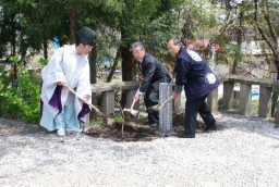 枝垂桑に土をかける和田宮司(左)と小林理事長(中)、総代の本多さん
