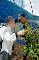 松井さん(右)から指導を受けながら山付けを行う参加者