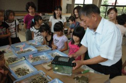 興味津々の様子で蚕を見る子供